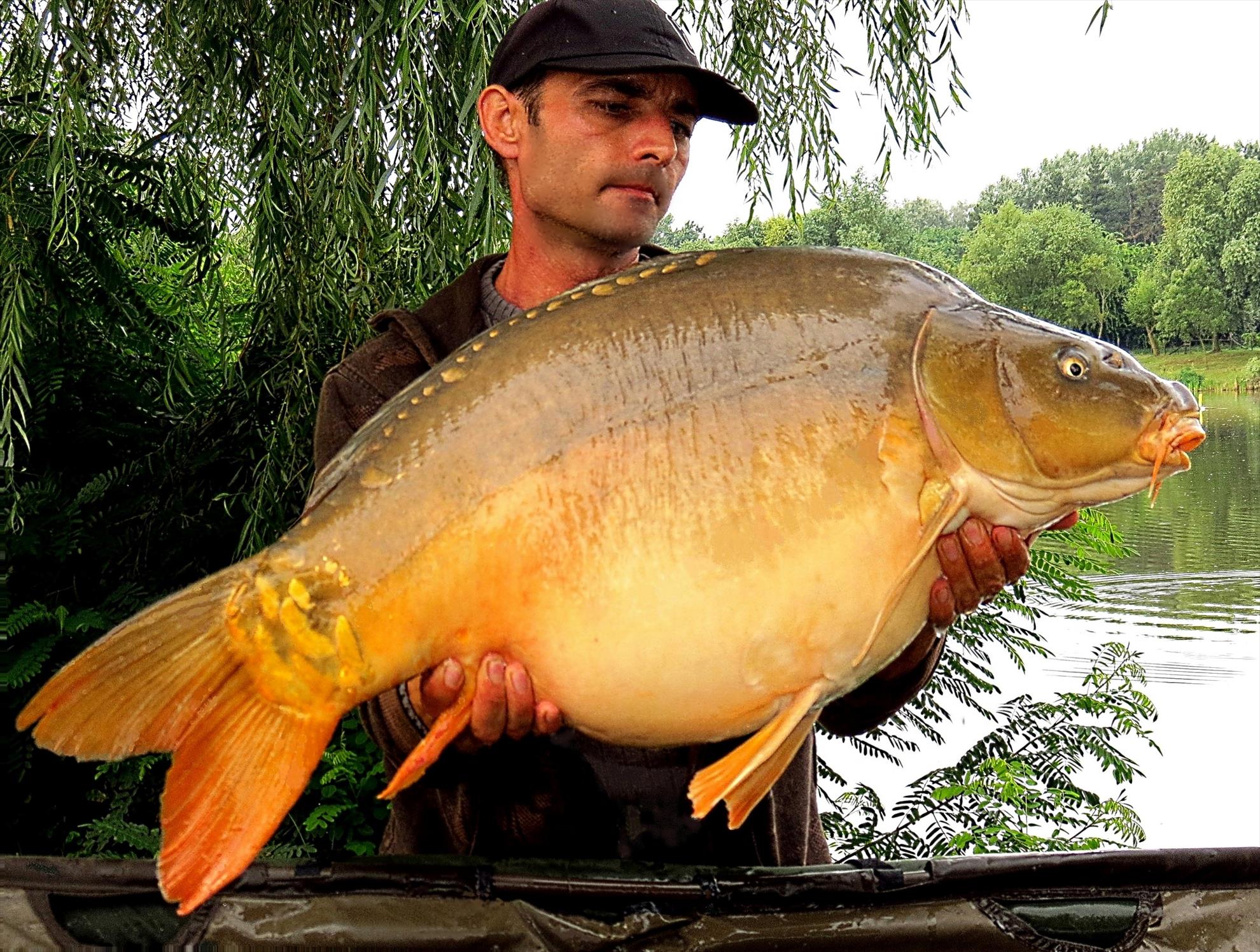 Palici - 002-img5840-1456-kg.jpg